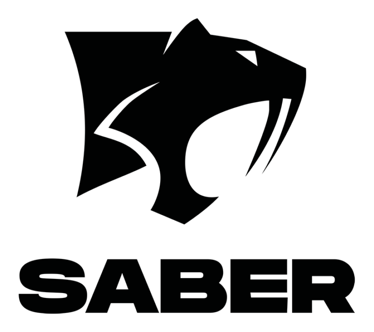 Saber Interactive